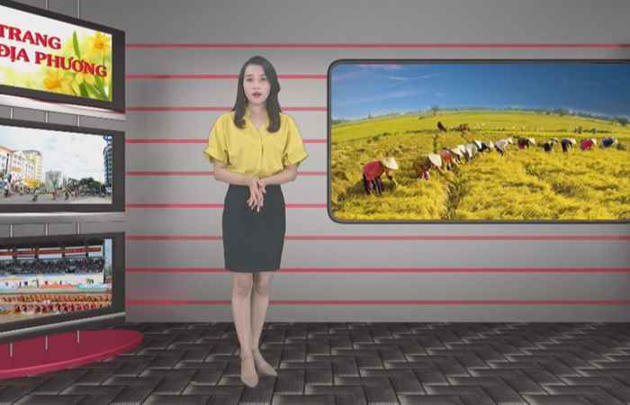 Trang tin địa phương huyện Long Phú, Trần Đề, Cù Lao Dung và thị xã Vĩnh Châu (14-06-2020)