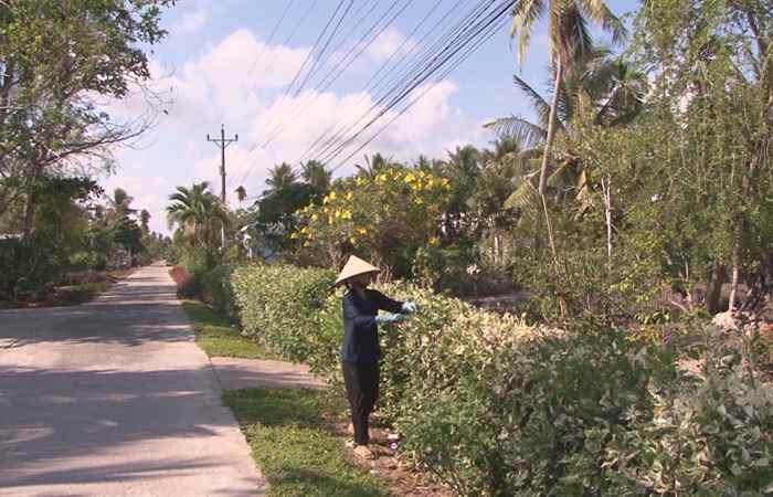 Trang tin địa phương Huyện Mỹ Tú