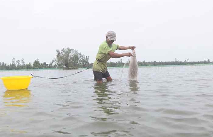 Trang tin địa phương Huyện Mỹ Tú 