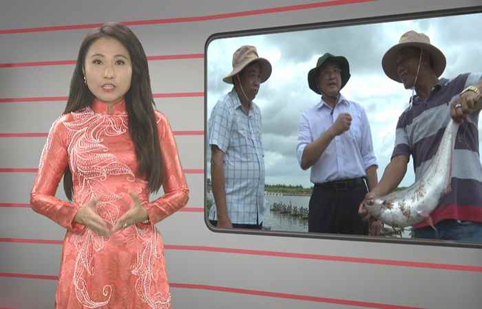Trang tin địa phương: Huyện Mỹ Tú, Trần Đề, Thạnh Trị và TX. Vĩnh Châu (09-07-2023)
