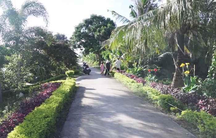 Trang tin địa phương huyện Mỹ Xuyên (11-07-2021)