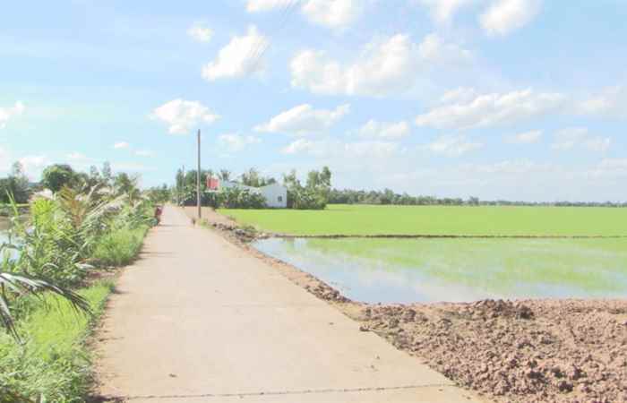 Trang tin địa phương Huyện Trần Đề (02-08-2020)