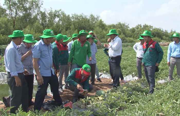 Trang tin địa phương huyện Trần Đề (28-03-2021)