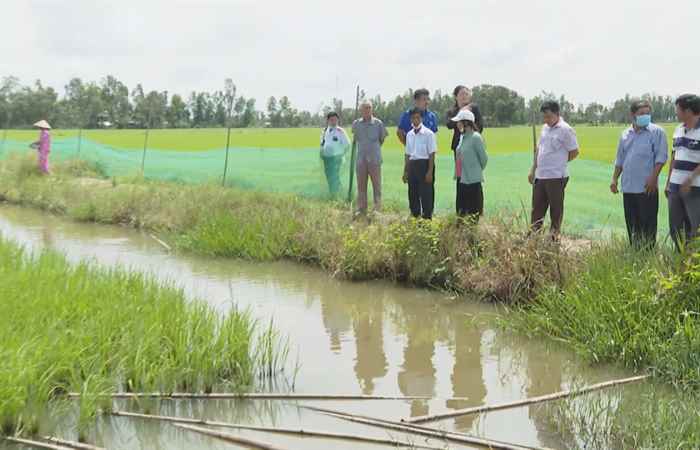 Trang tin địa phương: Các huyện Trần Đề, Thạnh Trị, Mỹ Tú và thị xã Ngã Năm (12-06-2022)