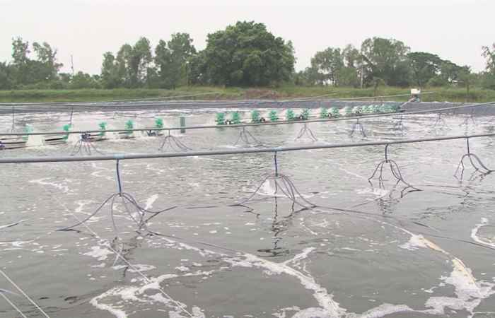 Trang tin địa phương Huyện Vĩnh Châu