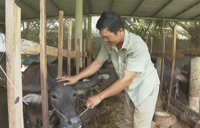 Trang tin địa phương: TP. Sóc Trăng, huyện Thạnh Trị, Châu thành và Kế Sách (12-11-2023)