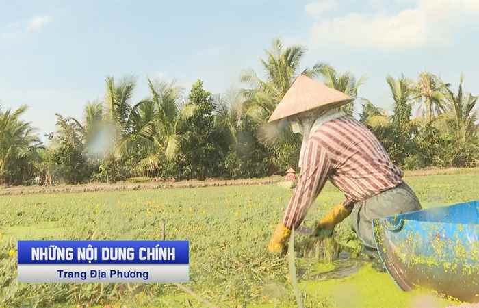 Trang tin địa phương:Thành phố Sóc Trăng, thị xã Ngã Năm và các huyện Mỹ Tú, Cù Lao Dung (21-04-2024)