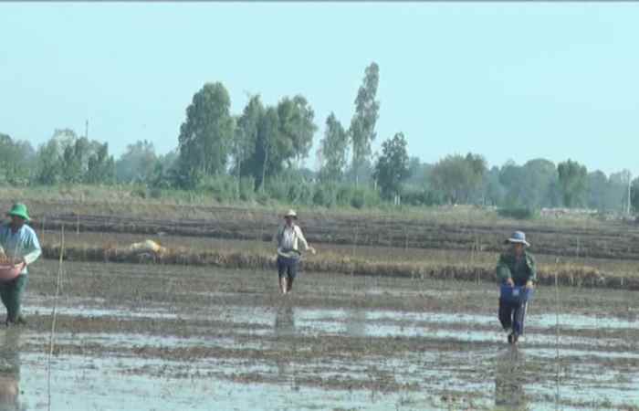 Trang tin địa phương thị xã Ngã Năm (10-05-2020)