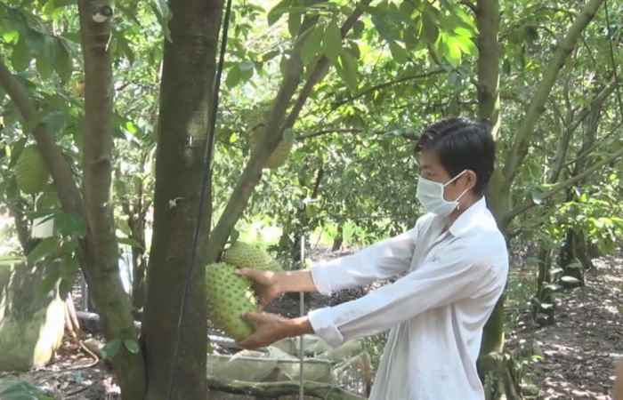 Trang tin địa phương thị xã Ngã Năm (27-06-2021)