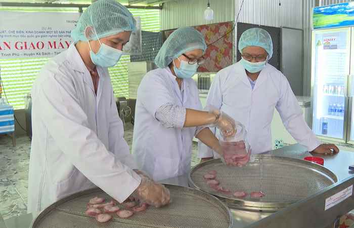 Trang tin địa phương thị xã Ngã Năm các huyện Mỹ Tú, Kế Sách và Trần Đề (03-11-2024)