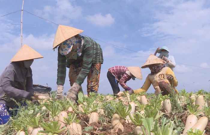Trang tin địa phương thị xã Vĩnh Châu (11-04-2021)