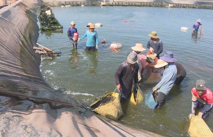 Trang tin địa phương thị xã Vĩnh Châu (19-07-2020)