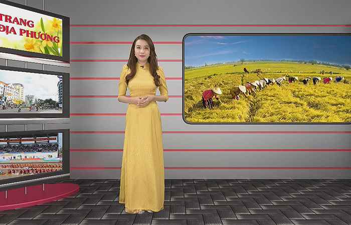 Trang tin địa phương: TX Vĩnh Châu, huyện Thạnh Trị, Mỹ Tú và Cù Lao Dung (01-10-2023)