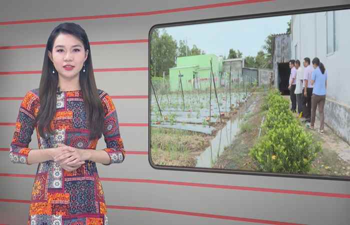 Trang tin địa phương: TX. Vĩnh Châu, các huyện Trần Đề, Châu Thành và Thạnh Trị (17-07-2022)
