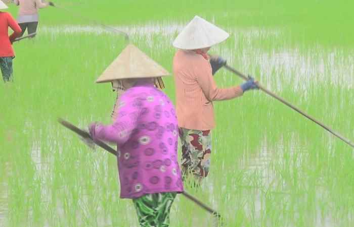 Trợ lực Nhà nông tiếng Khmer (01-01-2025)