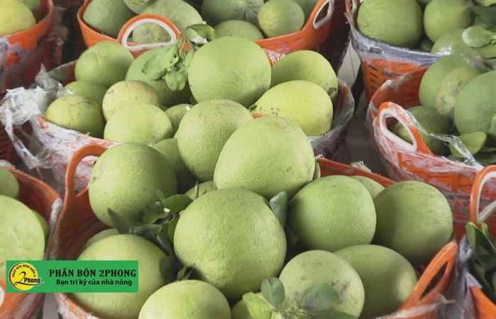Trợ lực Nhà nông tiếng Khmer (04-08-2021)