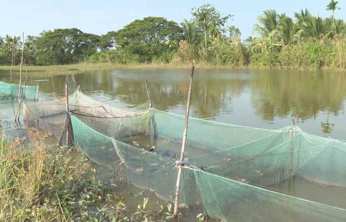  Trợ lực Nhà nông tiếng Khmer (05-01-2022)