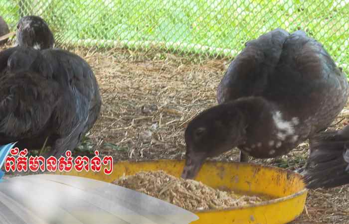 Trợ lực Nhà nông tiếng Khmer (05-03-2025)