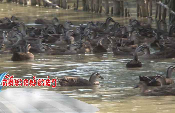Trợ lực Nhà nông - Tiếng Khmer (05-10-2022)