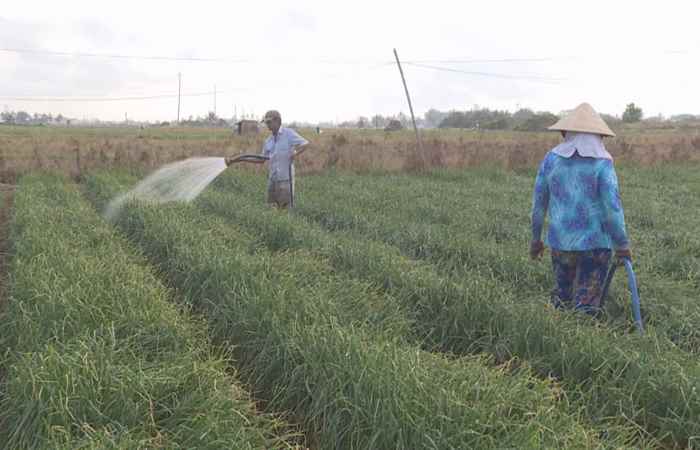 Trợ lực Nhà nông tiếng Khmer (06-01-2021)