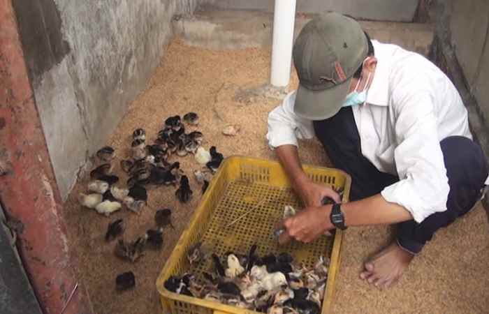 Trợ lực Nhà nông tiếng Khmer (10-06-2020)
