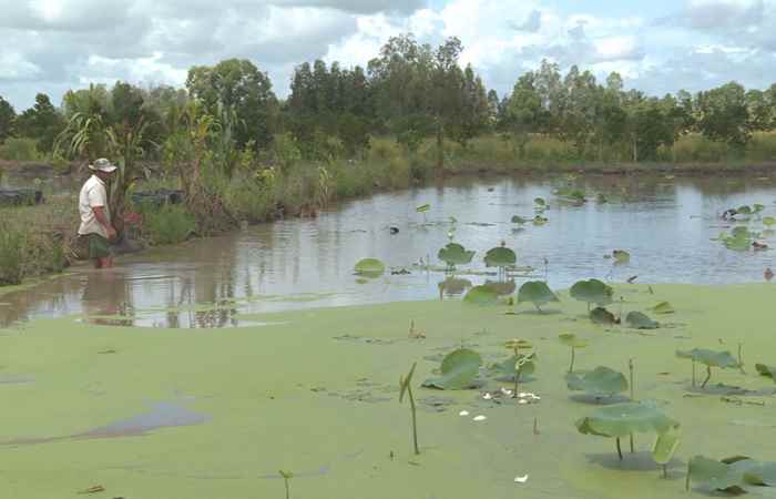 Trợ lực Nhà nông - Tiếng Khmer (06-09-2023)