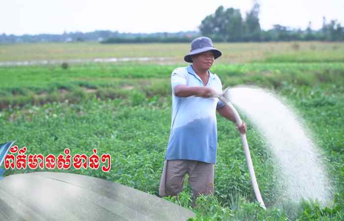 Trợ lực Nhà nông tiếng Khmer (06-11-2024)