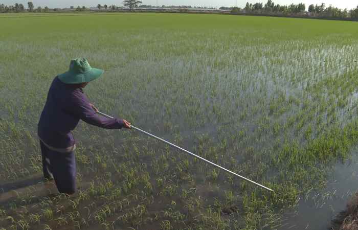 Trợ lực Nhà nông - Tiếng Khmer (07-02-2024)