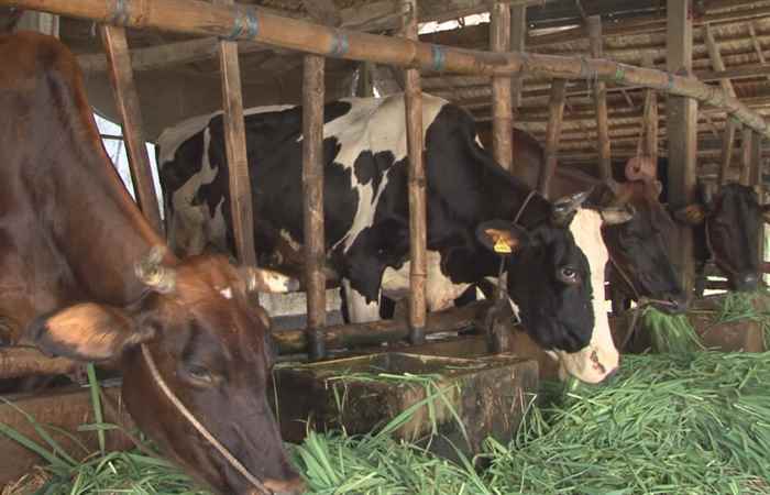 Trợ lực Nhà nông tiếng Khmer 08-07-2020