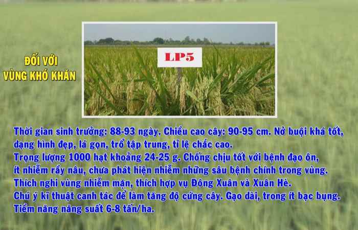 Trợ lực Nhà nông tiếng Khmer 10-04-2019