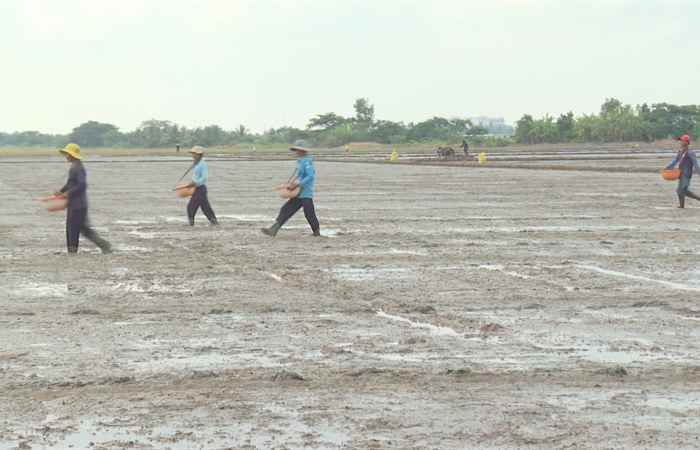  Trợ lực Nhà nông - Tiếng Khmer (11-10-2023)