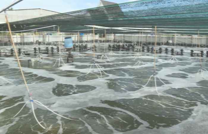 Trợ lực Nhà nông tiếng Khmer (12-01-2022)