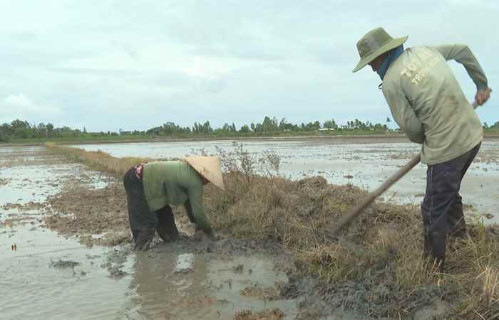 Trợ lực Nhà nông - Tiếng Khmer (12-06-2024)