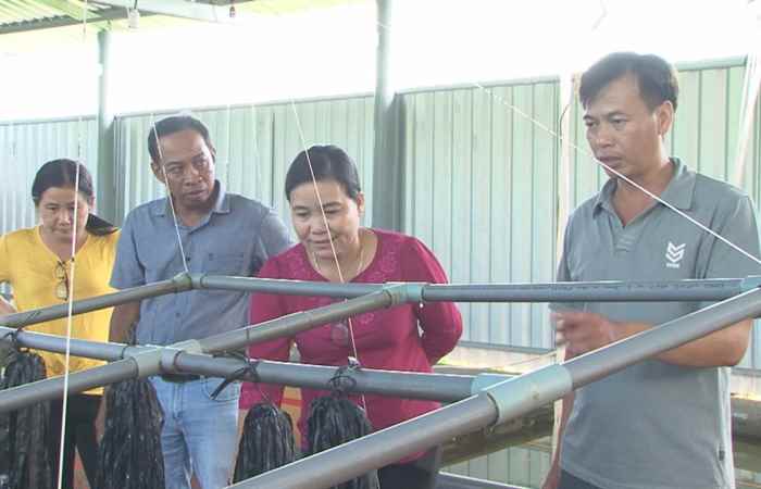 Trợ lực Nhà nông tiếng Khmer (12-08-2020)