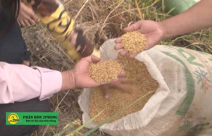 Trợ lực Nhà nông tiếng Khmer (13-01-2021)