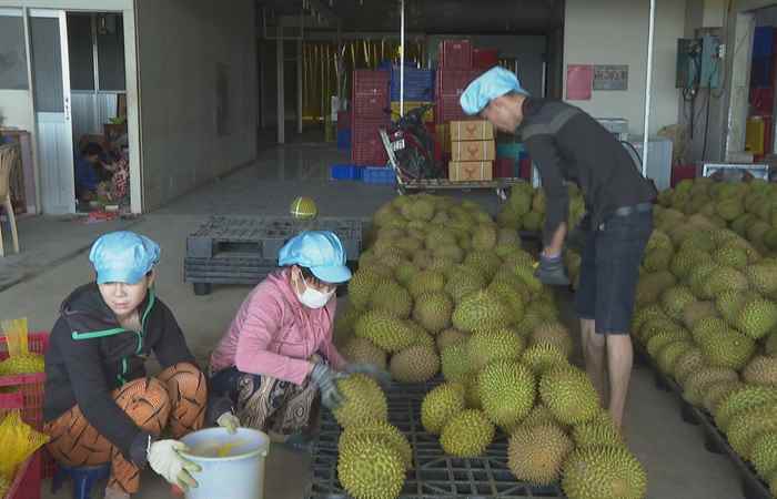 Trợ lực Nhà nông - Tiếng Khmer (13-09-2023)