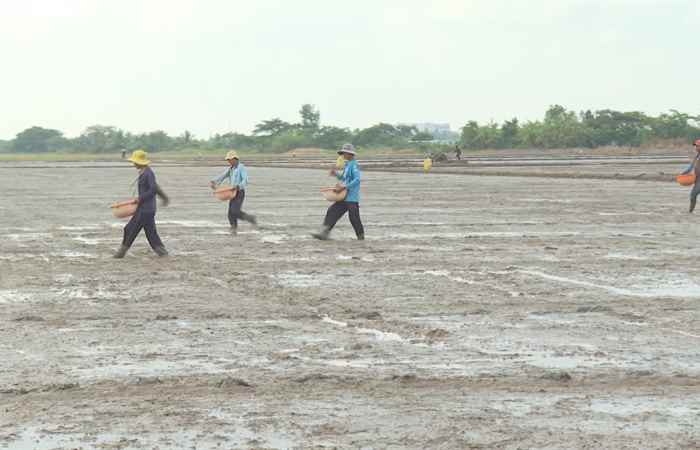 Trợ lực Nhà nông - Tiếng Khmer (13-12-2023)