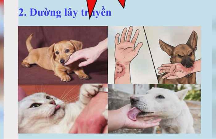 Trợ lực Nhà nông tiếng Khmer (14-04-2021)