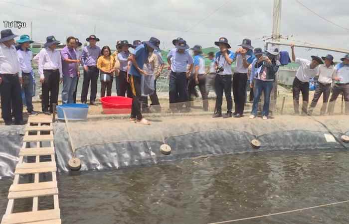 Trợ lực Nhà nông tiếng Khmer (14-07-2021)