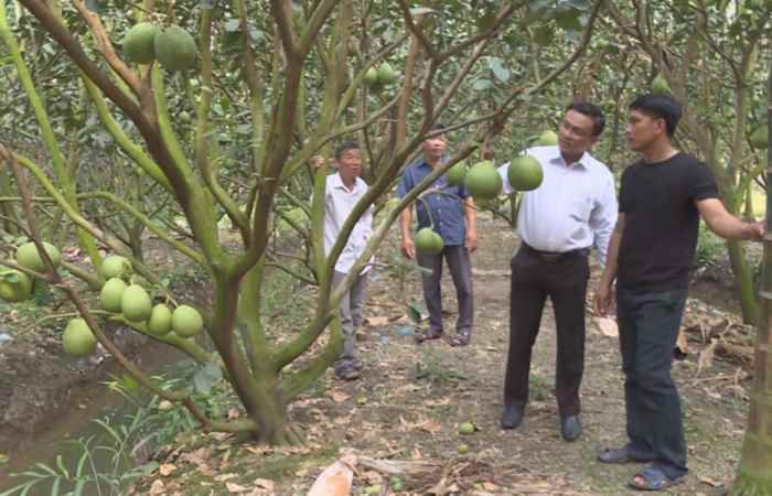 Trợ lực Nhà nông tiếng Khmer (14-10-2020)