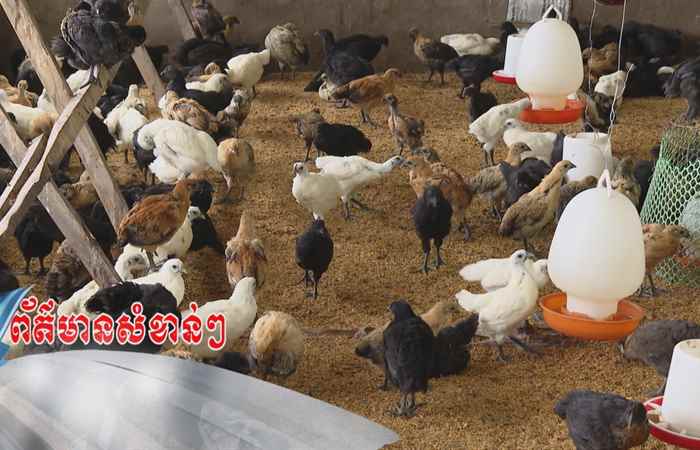 Trợ lực Nhà nông tiếng Khmer (15-01-2025)