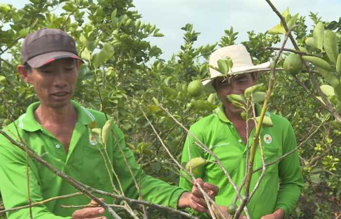 Trợ lực Nhà nông - Tiếng Khmer (15-03-2023)