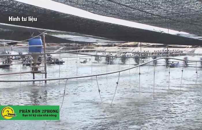 Trợ lực Nhà nông tiếng Khmer 15-04-2020
