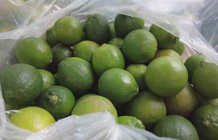 Trợ lực Nhà nông tiếng Khmer (15-09-2021)