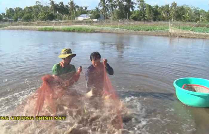 Trợ lực Nhà nông tiếng Khmer (17-03-2021)