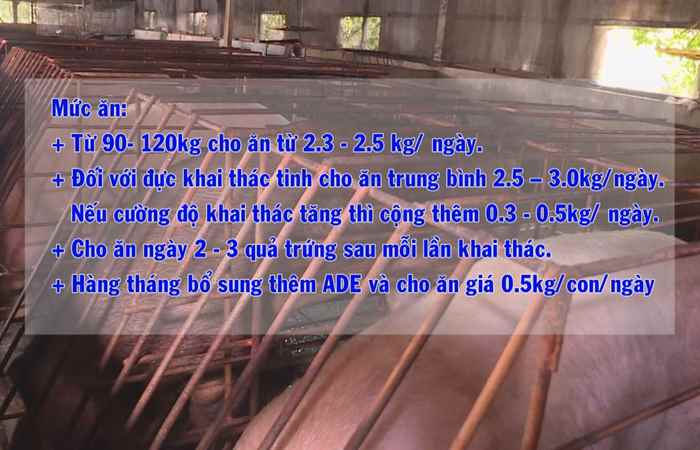 Trợ lực Nhà nông tiếng Khmer 17-10-2018