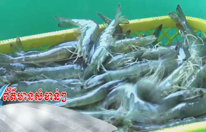 Trợ lực Nhà nông - Tiếng Khmer (18-10-2023)
