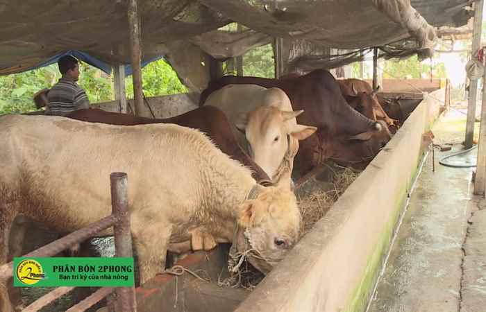 Trợ lực Nhà nông tiếng Khmer (18-11-2020)
