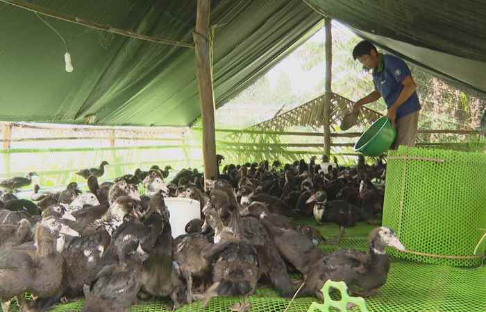 Trợ lực Nhà nông tiếng Khmer (18-12-2024)