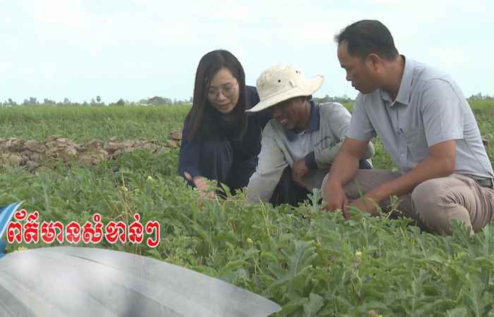 Trợ lực Nhà nông tiếng Khmer (19-03-2025)